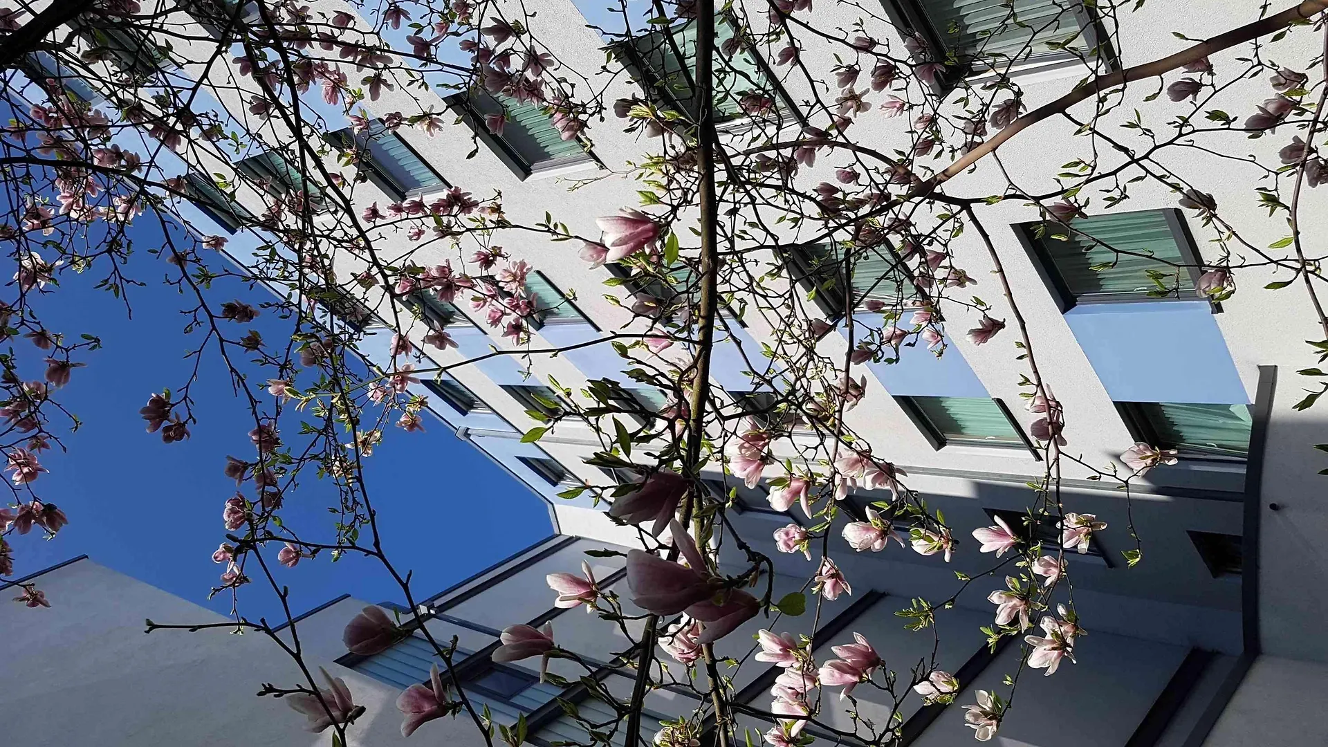 B&B Hotel Berlin City-West